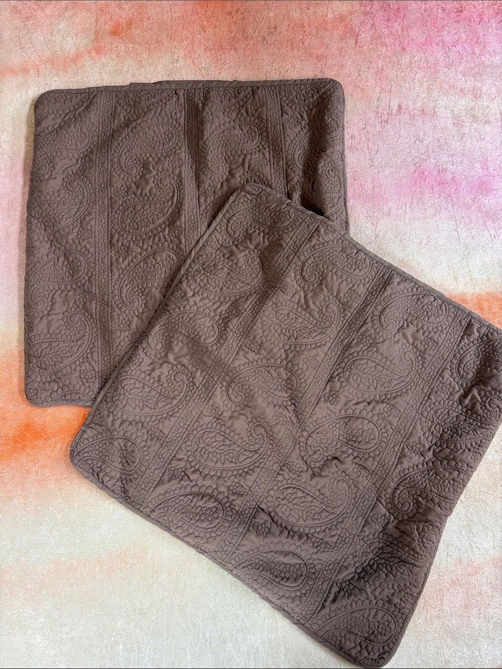 Quilted Paisley Euro Pillow Shams